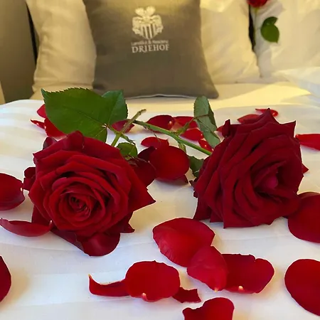 Hotel Driehof Landgut & Residenz Lifestyle-comfort 7 Tecklenburg