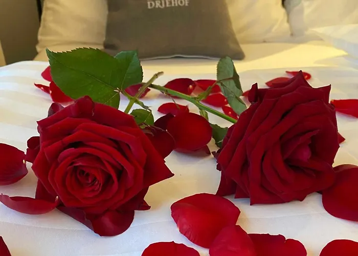 Driehof Landgut & Residenz Lifestyle-comfort 7 *